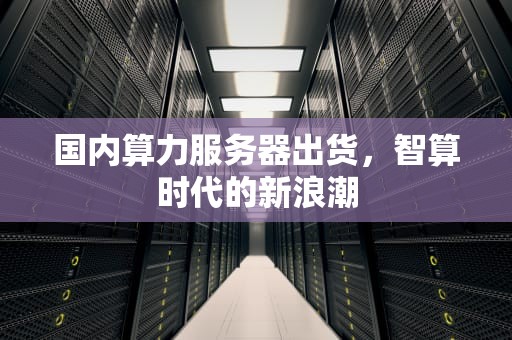 国内算力服务器出货，智算时代的新浪潮