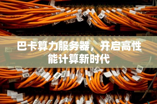 巴卡算力服务器，开启高性能计算新时代