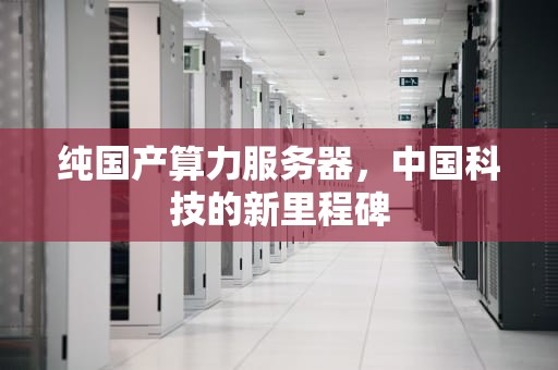 纯国产算力服务器，中国科技的新里程碑