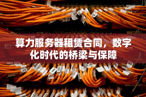 算力服务器租赁合同，数字化时代的桥梁与保障