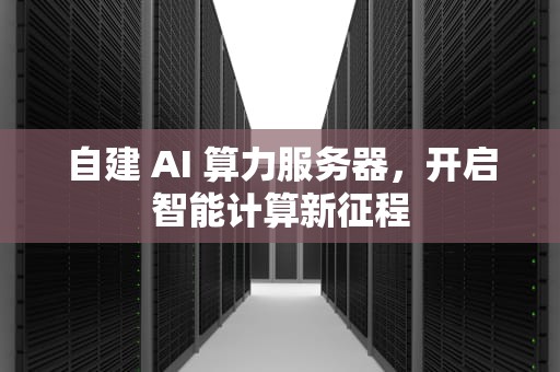 自建 AI 算力服务器，开启智能计算新征程