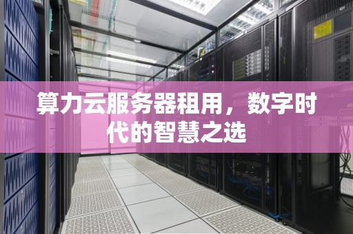 算力云服务器租用，数字时代的智慧之选