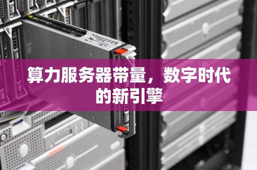 算力服务器带量，数字时代的新引擎
