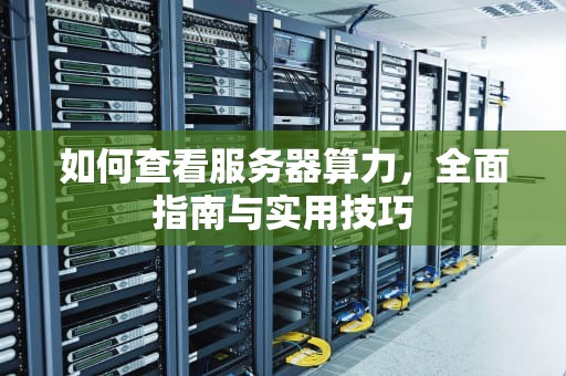 如何查看服务器算力，全面指南与实用技巧