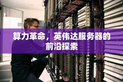 算力革命，英伟达服务器的前沿探索