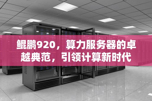 鲲鹏920，算力服务器的卓越典范，引领计算新时代