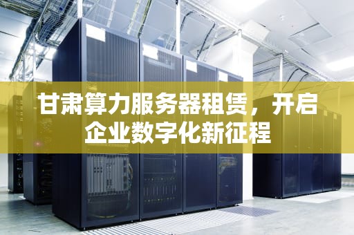 甘肃算力服务器租赁，开启企业数字化新征程
