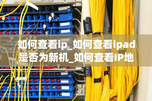 如何查看ip_如何查看ipad是否为新机_如何查看IP地址及其重要性