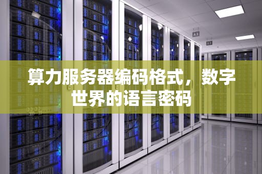 算力服务器编码格式，数字世界的语言密码