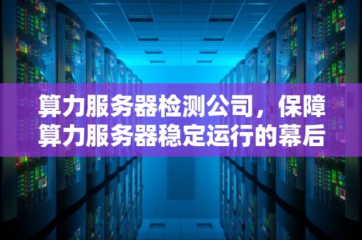 算力服务器检测公司，保障算力服务器稳定运行的幕后英雄