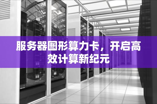 服务器图形算力卡，开启高效计算新纪元