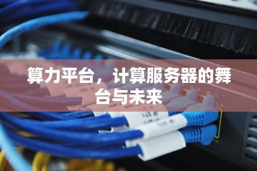 算力平台，计算服务器的舞台与未来