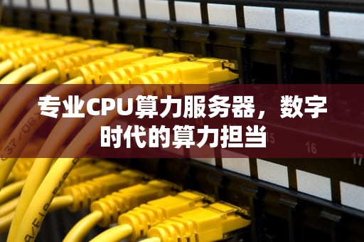 专业CPU算力服务器，数字时代的算力担当