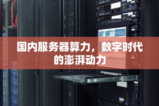 国内服务器算力，数字时代的澎湃动力