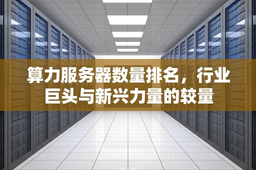 算力服务器数量排名，行业巨头与新兴力量的较量