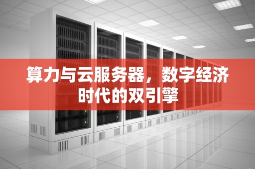 算力与云服务器，数字经济时代的双引擎