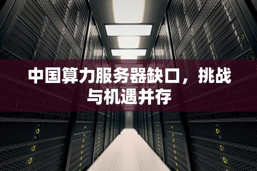 中国算力服务器缺口，挑战与机遇并存