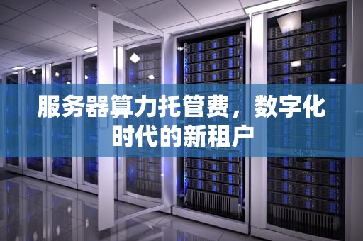 服务器算力托管费，数字化时代的新租户