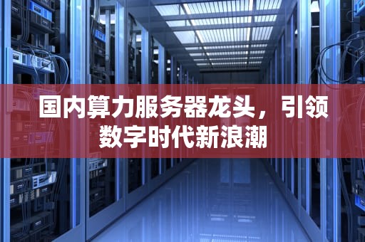 国内算力服务器龙头，引领数字时代新浪潮