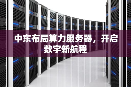 中东布局算力服务器，开启数字新航程