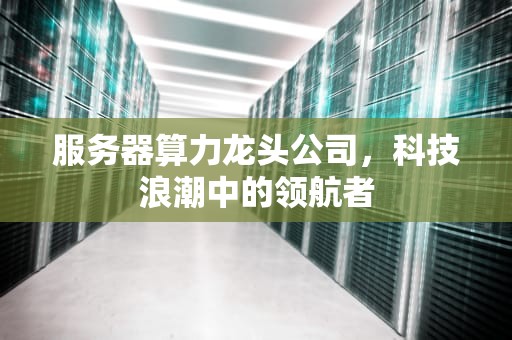 服务器算力龙头公司，科技浪潮中的领航者