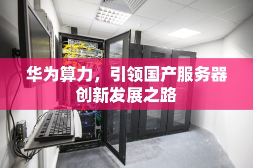 华为算力，引领国产服务器创新发展之路