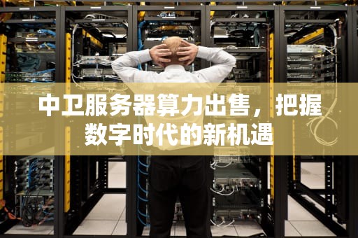 中卫服务器算力出售，把握数字时代的新机遇