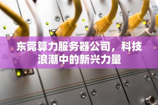 东莞算力服务器公司，科技浪潮中的新兴力量