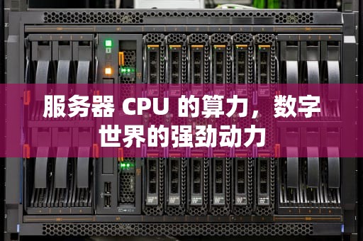 服务器 CPU 的算力，数字世界的强劲动力