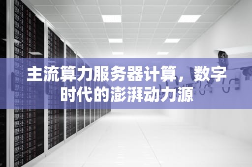 主流算力服务器计算，数字时代的澎湃动力源