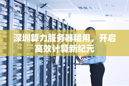 深圳算力服务器租用，开启高效计算新纪元