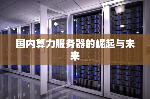 国内算力服务器的崛起与未来