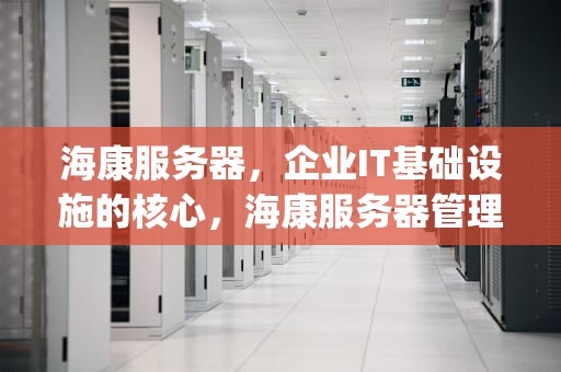 海康服务器，企业IT基础设施的核心，海康服务器管理口ip