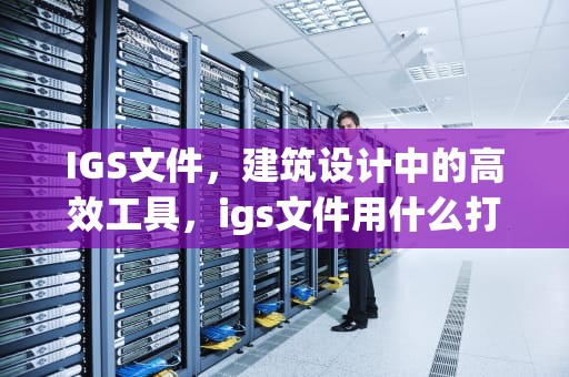 IGS文件，建筑设计中的高效工具，igs文件用什么打开