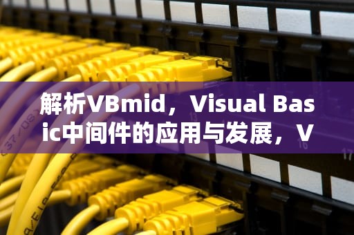 解析VBmid，Visual Basic中间件的应用与发展，Vbmid函数