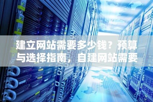 建立网站需要多少钱？预算与选择指南，自建网站需要多少钱