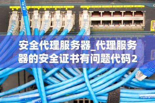 安全代理服务器_代理服务器的安全证书有问题代码20_安全代理服务器：保护你的网络隐私