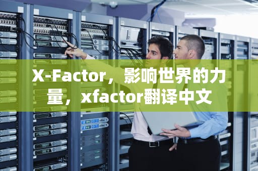 X-Factor，影响世界的力量，xfactor翻译中文
