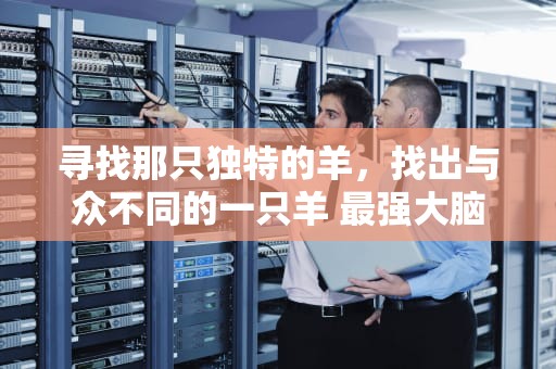寻找那只独特的羊，找出与众不同的一只羊 最强大脑