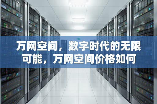 万网空间，数字时代的无限可能，万网空间价格如何