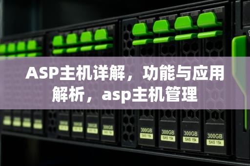 ASP主机详解，功能与应用解析，asp主机管理
