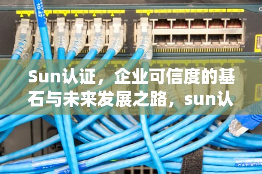 Sun认证，企业可信度的基石与未来发展之路，sun认证java程序员