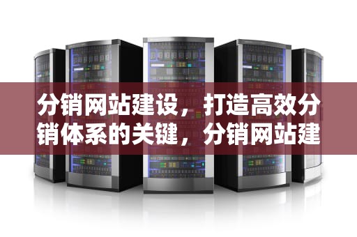 分销网站建设，打造高效分销体系的关键，分销网站建设费用