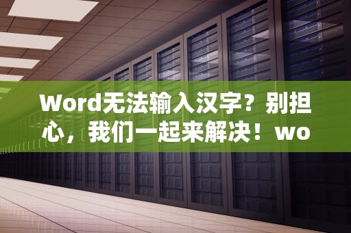 Word无法输入汉字？别担心，我们一起来解决！word无法输入汉字怎么办