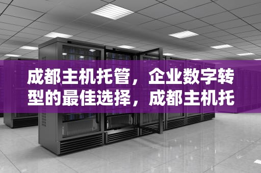 成都主机托管，企业数字转型的最佳选择，成都主机托管公司排名