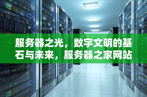服务器之光，数字文明的基石与未来，服务器之家网站