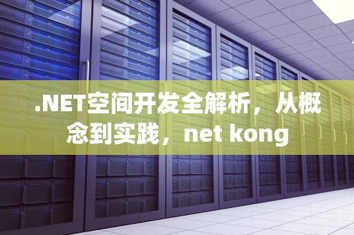 .NET空间开发全解析，从概念到实践，net kong