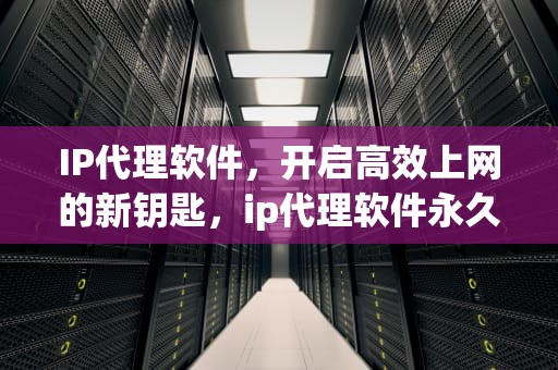 IP代理软件，开启高效上网的新钥匙，ip代理软件永久免费