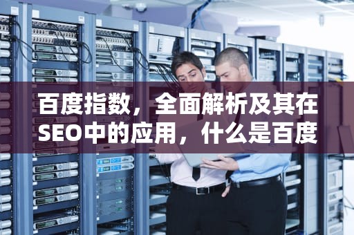 百度指数，全面解析及其在SEO中的应用，什么是百度指数的默认显示模块