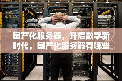 国产化服务器，开启数字新时代，国产化服务器有哪些